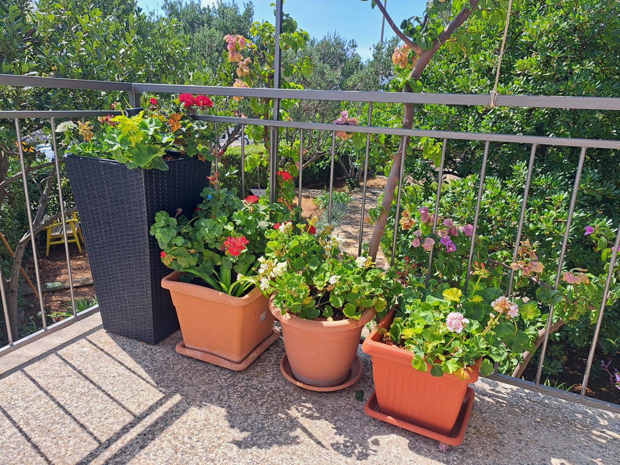 Apartment Dida Jakov