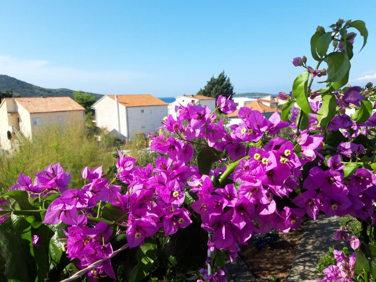 Apartment Dida Jakov Primosten